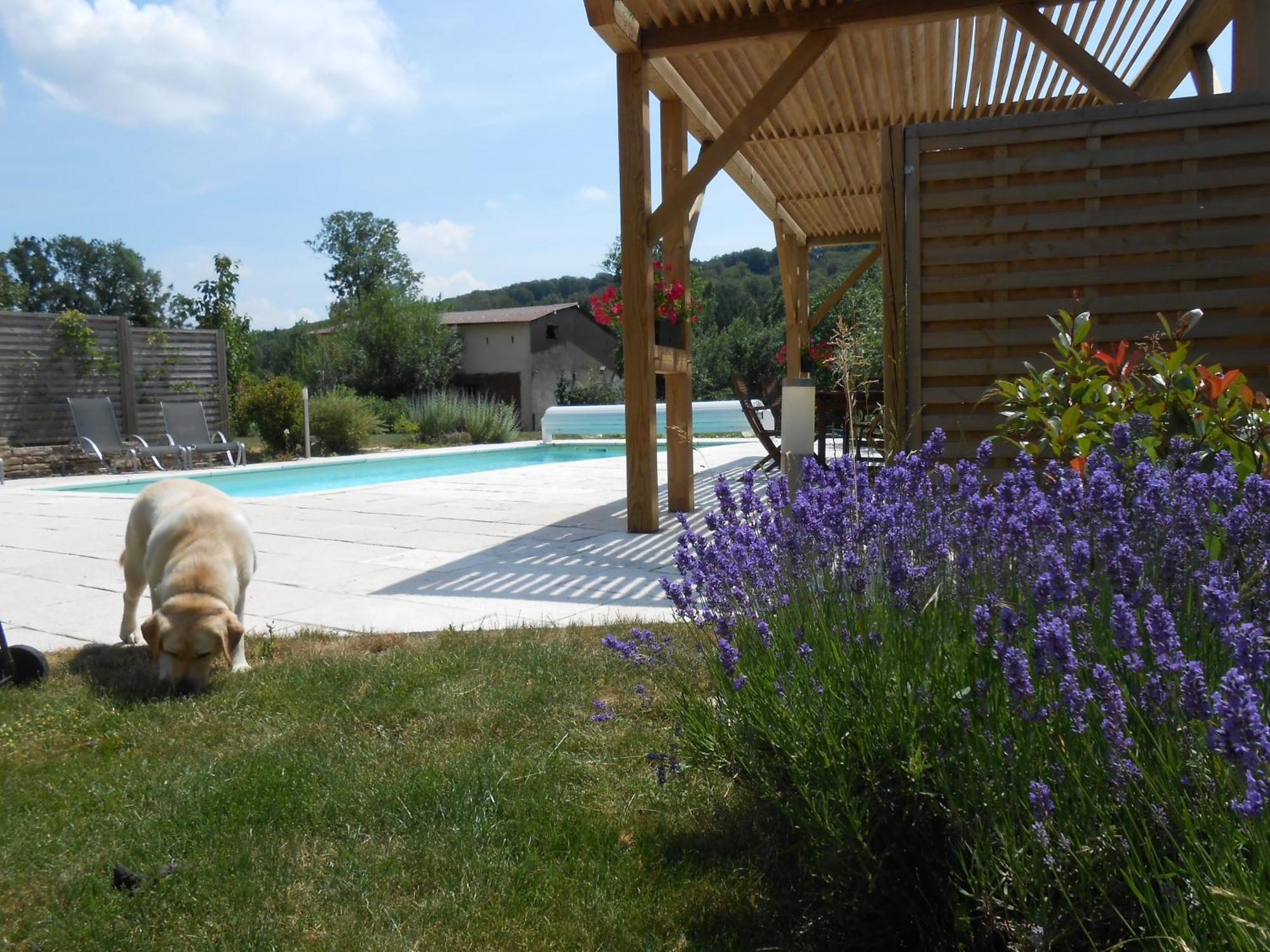 Les Grands Pres Bed & Breakfast Geney ภายนอก รูปภาพ